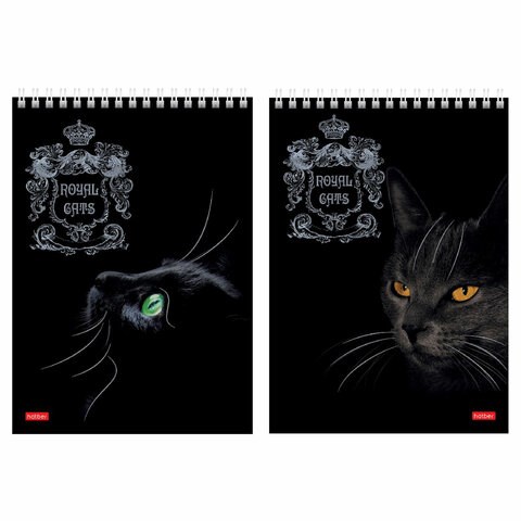 Блокнот А5 146х215 мм, 80 л., гребень, клетка, ламинация, 3D фольга, HATBER, "Royal Cats", 80Б5лофВ1гр 114352