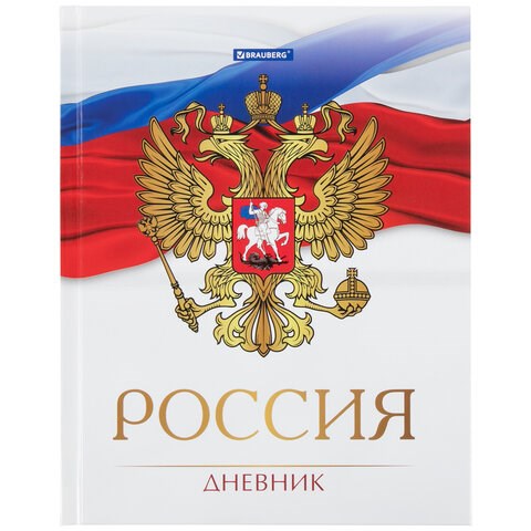 Дневник 5-11 класс 48 л., твердый, BRAUBERG, глянцевая ламинация, с подсказом, "Символика 2", 106067 106067