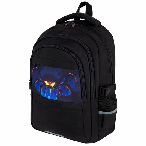 Рюкзак BRAUBERG VIBE, 2 отделения, 5 карманов, "Dark spider", 40х28х14 см, 273174 273174