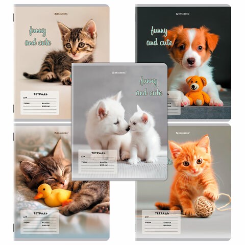 Тетрадь 12 л. BRAUBERG косая линия, обложка картон, CATS AND DOGS, 107288 107288