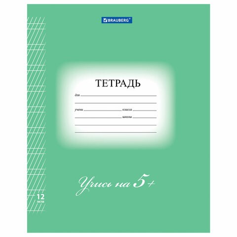 Тетрадь 12 л. BRAUBERG ЭКО "5-КА", частая косая линия, обложка плотная мелованная бумага, ЗЕЛЕНАЯ, 104766 104766