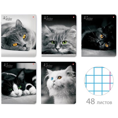 Тетрадь А5 48 л. АЛЬТ скоба, клетка, глянцевый лак, "Кошки. Яркий взгляд" (5 видов), 7-48-1019 404114