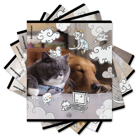 Тетрадь обложка пластик, А5, 48 л., скоба, клетка, ErichKrause, "Dream Cat" (микс в спайке), 54161 405266