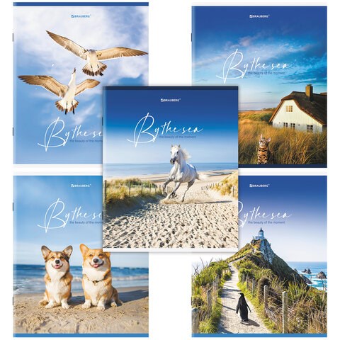 Тетрадь А5, 80 л., BRAUBERG, скоба, клетка, обложка картон, "By the Sea", 404410 404410