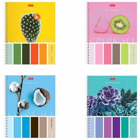 Тетрадь А5, 80 л., HATBER гребень, клетка, обложка картон, "Color Set" (4 вида в спайке), 80Т5В1гр 404491