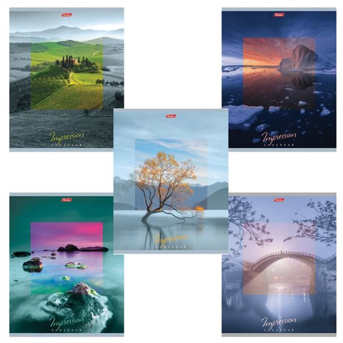 Тетрадь А5, 80 л., HATBER, скоба, клетка, обложка картон, "IMPRESSIONS" (микс), 046880, 80Т5В1 402911