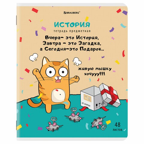 Тетрадь предметная "КОТ-ЭНТУЗИАСТ" 48 л., TWIN-лак, ИСТОРИЯ, клетка, подсказ, BRAUBERG, 404563 404563