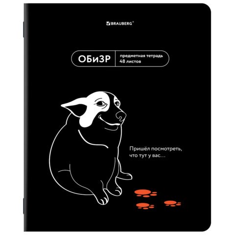 Тетрадь предметная МЕМЫ 48 л., TWIN-лак, ОБиЗР, клетка, подсказ, BRAUBERG, 405108 405108