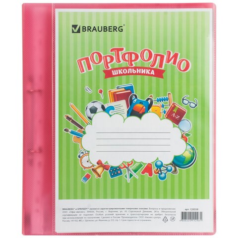 Папка для портфолио школьника, 2 кольца, 20 файлов, пластик полупрозрачный, красная, BRAUBERG, 126558 126558