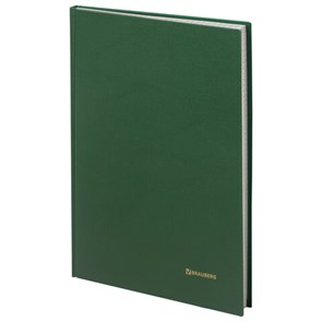 {{photo.Alt || photo.Description || 'Книга учета 96 л., клетка, твердая, бумвинил, блок офсет, А4 (200х290 мм), BRAUBERG, зеленая, 130222'}}