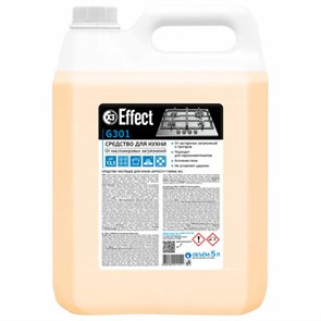 Средство для кухни 5 кг, EFFECT "Gamma 301", для применения во флаконах с триггером, 25680 604213