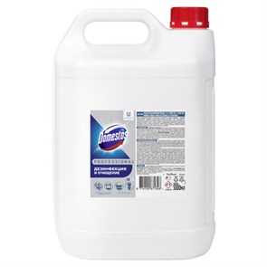 {{photo.Alt || photo.Description || 'Чистящее средство 5 л DOMESTOS с антивирусным и отбеливающим эффектом "Свежесть Атлантики", 68404686'}}