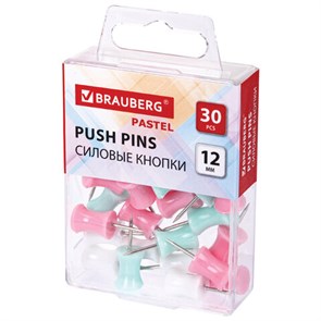 {{photo.Alt || photo.Description || 'Силовые кнопки-гвоздики BRAUBERG PASTEL, пастельные цвета, 30 штук, 12 мм, 272756'}}