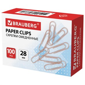 {{photo.Alt || photo.Description || 'Скрепки BRAUBERG, 28 мм, омедненные, 100 шт., в картонной коробке, 270448'}}