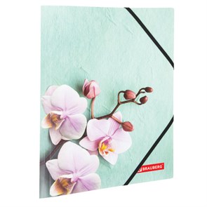 {{photo.Alt || photo.Description || 'Папка на резинках BRAUBERG "FLOWER", А4, цветная печать, до 300 листов, 500 мкм, 228032'}}