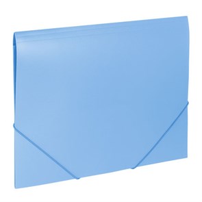 {{photo.Alt || photo.Description || 'Папка на резинках BRAUBERG "Office", голубая, до 300 листов, 500 мкм, 228078'}}