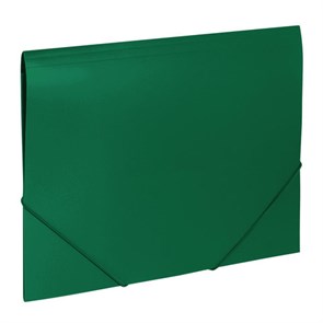 {{photo.Alt || photo.Description || 'Папка на резинках BRAUBERG "Office", зеленая, до 300 листов, 500 мкм, 227710'}}