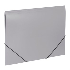 {{photo.Alt || photo.Description || 'Папка на резинках BRAUBERG "Office", серая, до 300 листов, 500 мкм, 228079'}}