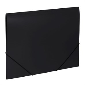 {{photo.Alt || photo.Description || 'Папка на резинках BRAUBERG "Office", черная, до 300 листов, 500 мкм, 227713'}}