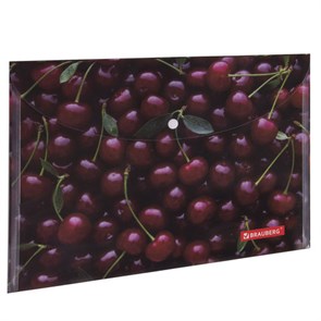 {{photo.Alt || photo.Description || 'Папка-конверт с кнопкой BRAUBERG "CHERRY", А4, 160 мкм, до 100 листов, цветная печать, 228037'}}