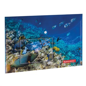 {{photo.Alt || photo.Description || 'Папка-конверт с кнопкой BRAUBERG "SEA WORLD", А4, 160 мкм, до 100 листов, цветная печать, 228041'}}