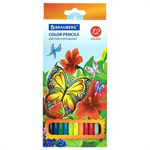 {{photo.Alt || photo.Description || 'Карандаши цветные BRAUBERG "Wonderful butterfly", 12 цв, шестигранные, грифель 3 мм, натуральное дерево, 180535'}}