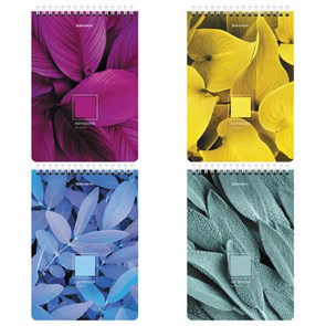 {{photo.Alt || photo.Description || 'Блокнот А5 (146х206 мм), 80 л., гребень, картон, клетка, BRAUBERG, "Яркие листья", 114372'}}