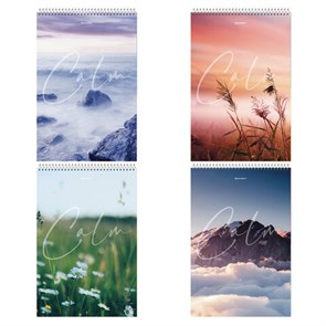 {{photo.Alt || photo.Description || 'Блокнот БОЛЬШОЙ ФОРМАТ А4 198х297 мм, 80 л., гребень, жесткая подложка, клетка, BRAUBERG, "Calm", 114357'}}