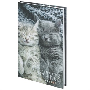 {{photo.Alt || photo.Description || 'Блокнот А5 (134х206 мм), 80 л., твёрдый, клетка, STAFF, "Котики", 114413'}}