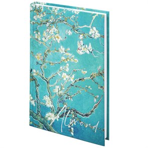 {{photo.Alt || photo.Description || 'Блокнот А5 134х206 мм, 80 л., твёрдый, клетка, тиснение фольгой, STAFF, "Ван Гог", 114427'}}