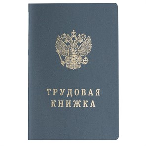 {{photo.Alt || photo.Description || 'Бланк документа "Трудовая книжка", 88х125 мм, ГОЗНАК'}}