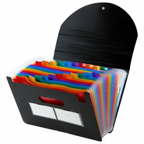 {{photo.Alt || photo.Description || 'Папка-органайзер для бумаг и документов на резинке, 25 отделений, BRAUBERG DOCS, А4, черная, 271151'}}