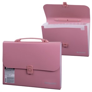 {{photo.Alt || photo.Description || 'Папка-портфель пластиковая BRAUBERG А4 (327х254х30 мм), 13 отделений, розовая, 221441'}}