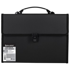 {{photo.Alt || photo.Description || 'Папка-портфель пластиковая BRAUBERG А4 (332х245х35 мм), 13 отделений, черная, 221378'}}