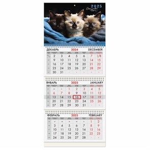 {{photo.Alt || photo.Description || 'Календарь квартальный на 2025 г., 3 блока, 3 гребня, с бегунком, мелованная бумага, BRAUBERG, "Милые котики", 116138'}}