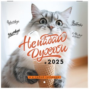 {{photo.Alt || photo.Description || 'Календарь настенный перекидной на 2025 г., BRAUBERG, 12 листов, 22,5х22,5 см, МИНИ, "Не падай духом", 116178'}}