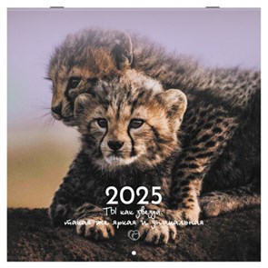 {{photo.Alt || photo.Description || 'Календарь настенный перекидной на 2025 г., BRAUBERG, 12 листов, 29х29 см, "Детёныши", 116171'}}