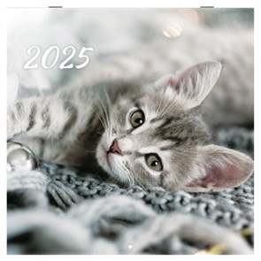 {{photo.Alt || photo.Description || 'Календарь настенный перекидной на 2025 г., BRAUBERG, 12 листов, 29х29 см, "Милые котики", 116164'}}