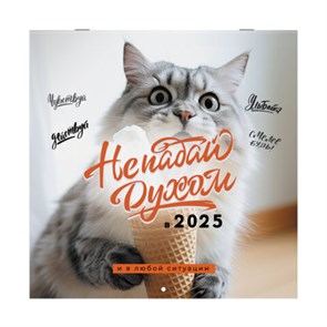 {{photo.Alt || photo.Description || 'Календарь настенный перекидной на 2025 г., BRAUBERG, 12 листов, 29х29 см, "Не падай духом", 116163'}}