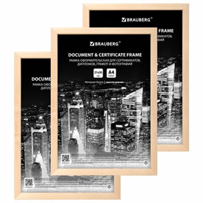 {{photo.Alt || photo.Description || 'Рамка 21х30 см небьющаяся, КОМПЛЕКТ 3 шт., багет 14 мм дерево, BRAUBERG "Elegant", цвет натуральное дерево, 391357'}}