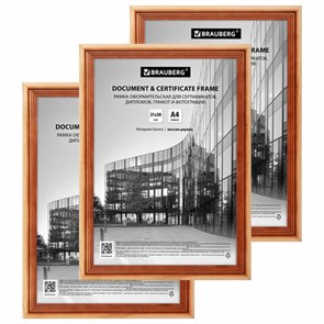 {{photo.Alt || photo.Description || 'Рамка 21х30 см небьющаяся, КОМПЛЕКТ 3 шт., багет 20 мм дерево, BRAUBERG "Business", цвет светлое дерево, 391353'}}
