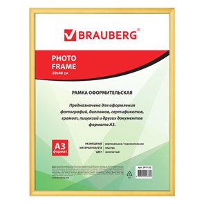 {{photo.Alt || photo.Description || 'Рамка 30х40 см, пластик, багет 12 мм, BRAUBERG HIT2, золото, стекло, 391132'}}