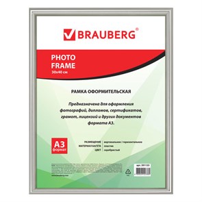 {{photo.Alt || photo.Description || 'Рамка 30х40 см, пластик, багет 12 мм, BRAUBERG HIT2, серебро, стекло, 391133'}}