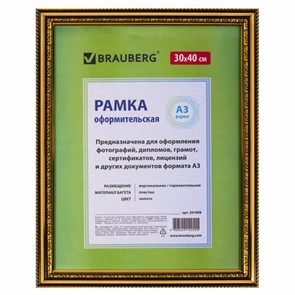 {{photo.Alt || photo.Description || 'Рамка 30х40 см, пластик, багет 30 мм, BRAUBERG "HIT4", золото, стекло, 391008'}}