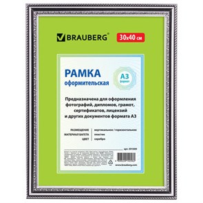 {{photo.Alt || photo.Description || 'Рамка 30х40 см, пластик, багет 30 мм, BRAUBERG "HIT4", серебро, стекло, 391009'}}