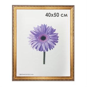 {{photo.Alt || photo.Description || 'Рамка премиум 40х50 см, пластик, багет 33 мм, "Dorothy", золото, 0023-16-4274'}}