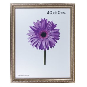 {{photo.Alt || photo.Description || 'Рамка премиум 40х50 см, пластик, багет 33 мм, "Dorothy", серебро, 0023-16-3330'}}