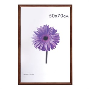 {{photo.Alt || photo.Description || 'Рамка премиум 50х70 см, дерево, багет 26 мм, "Berta", орех, 0006-50-0006'}}