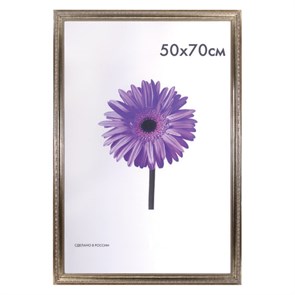 {{photo.Alt || photo.Description || 'Рамка премиум 50х70 см, пластик, багет 33 мм, "Dorothy", серебро, 0023-50-3330'}}