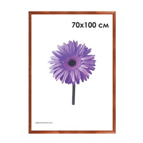 {{photo.Alt || photo.Description || 'Рамка премиум 70х100 см, дерево, багет 26 мм, "Linda", орех, 0065-70-0006'}}